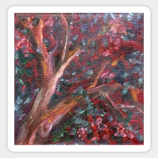 Red Gum at Dusk oil painting by Heather Holland Sticker